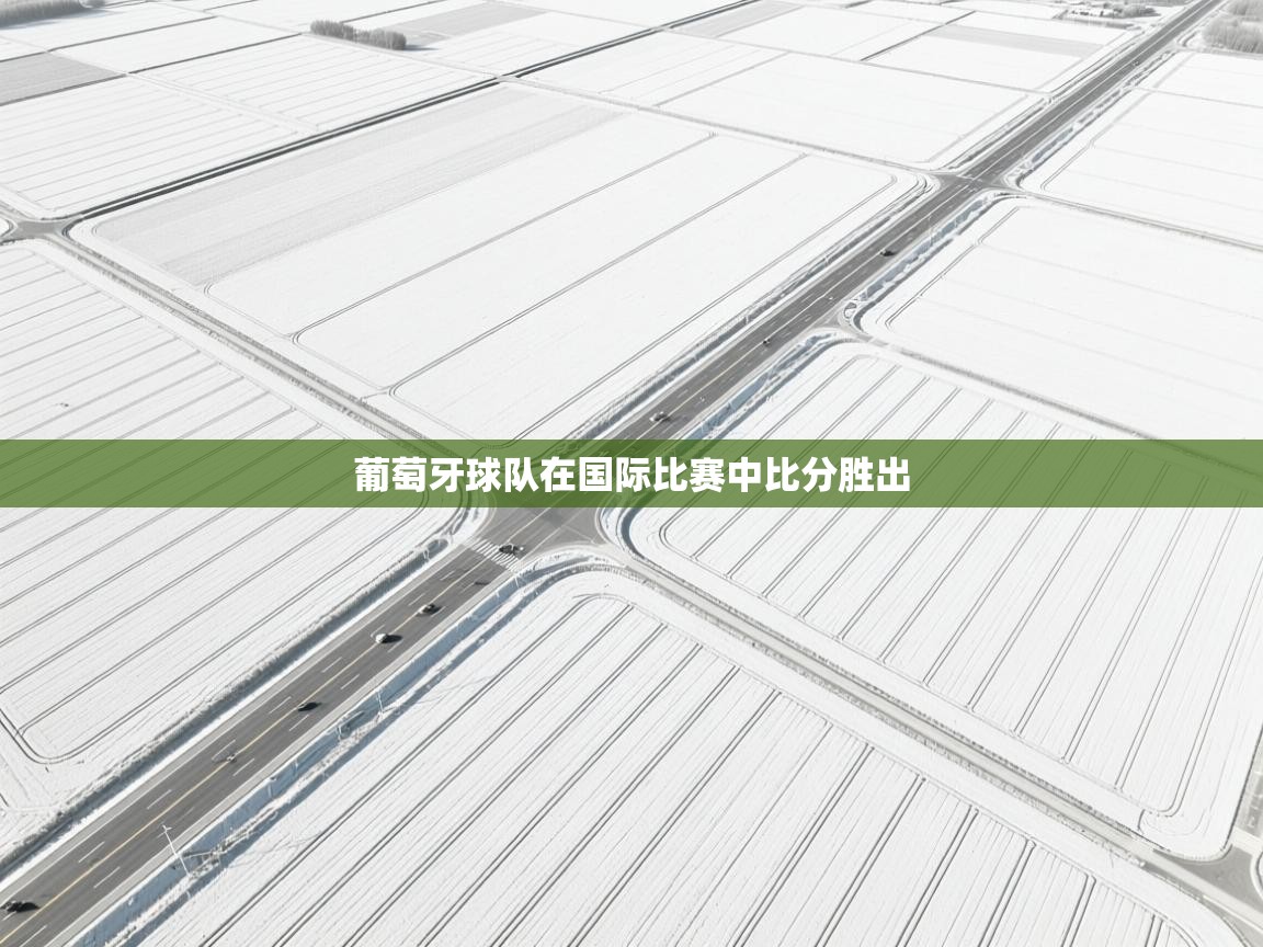 开云体育在线网址-葡萄牙球队在国际比赛中比分胜出