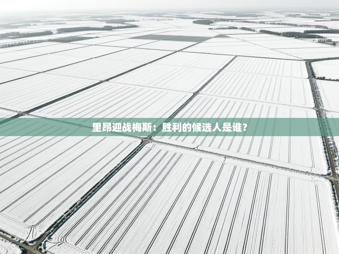 开云体育app官网-里昂迎战梅斯：胜利的候选人是谁？