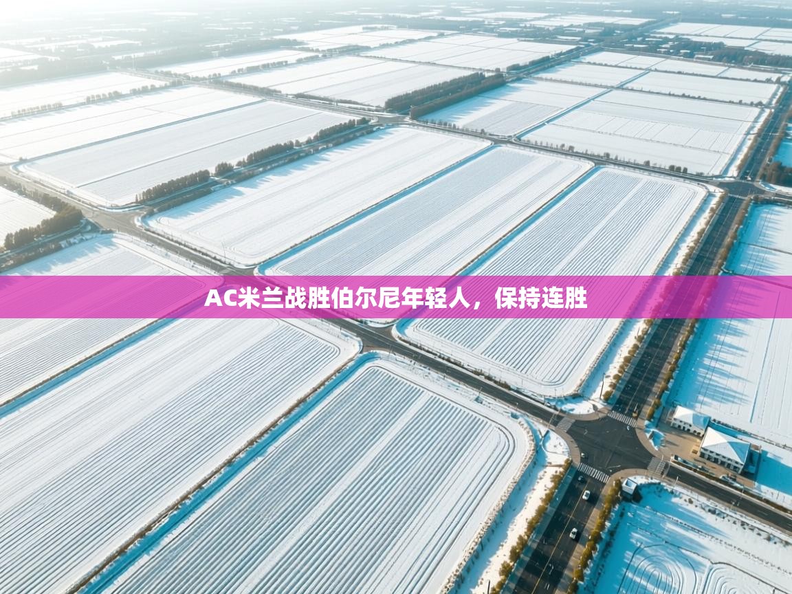 开云体育app下载链接-AC米兰战胜伯尔尼年轻人，保持连胜  第2张